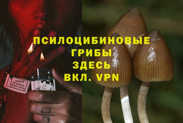 гашик Лагань